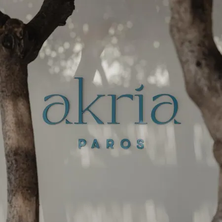 Akria Seaside * Naousa (Paros)